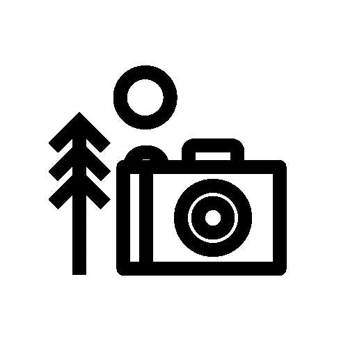 Photography Tours