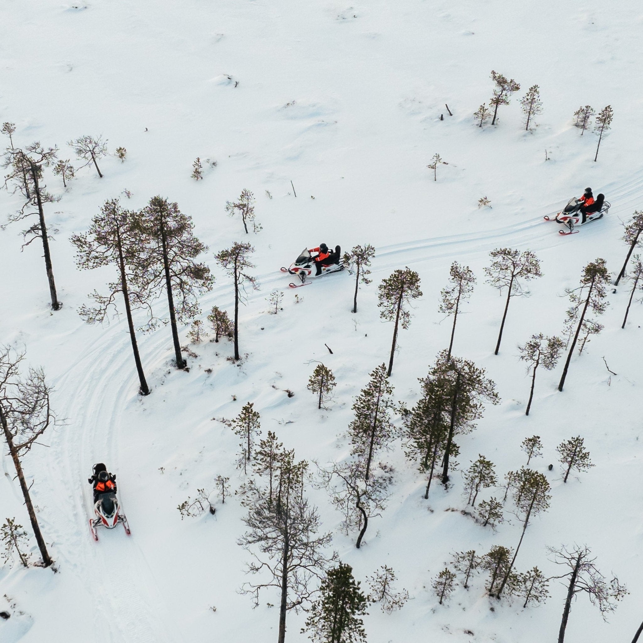 3 h electric snowmobile safari in Rovaniemi exploring snowy forest trails and pristine Lapland wilderness.