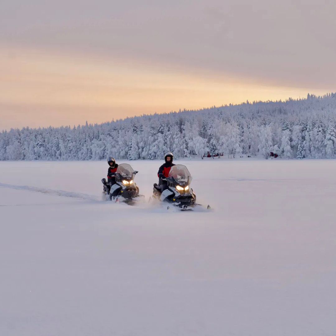 Wilderness Snowmobile Safari