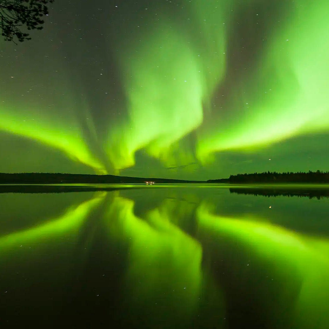 Aurora Borealis floating on the lake with vibrant northern lights reflecting on water at night by Safartica