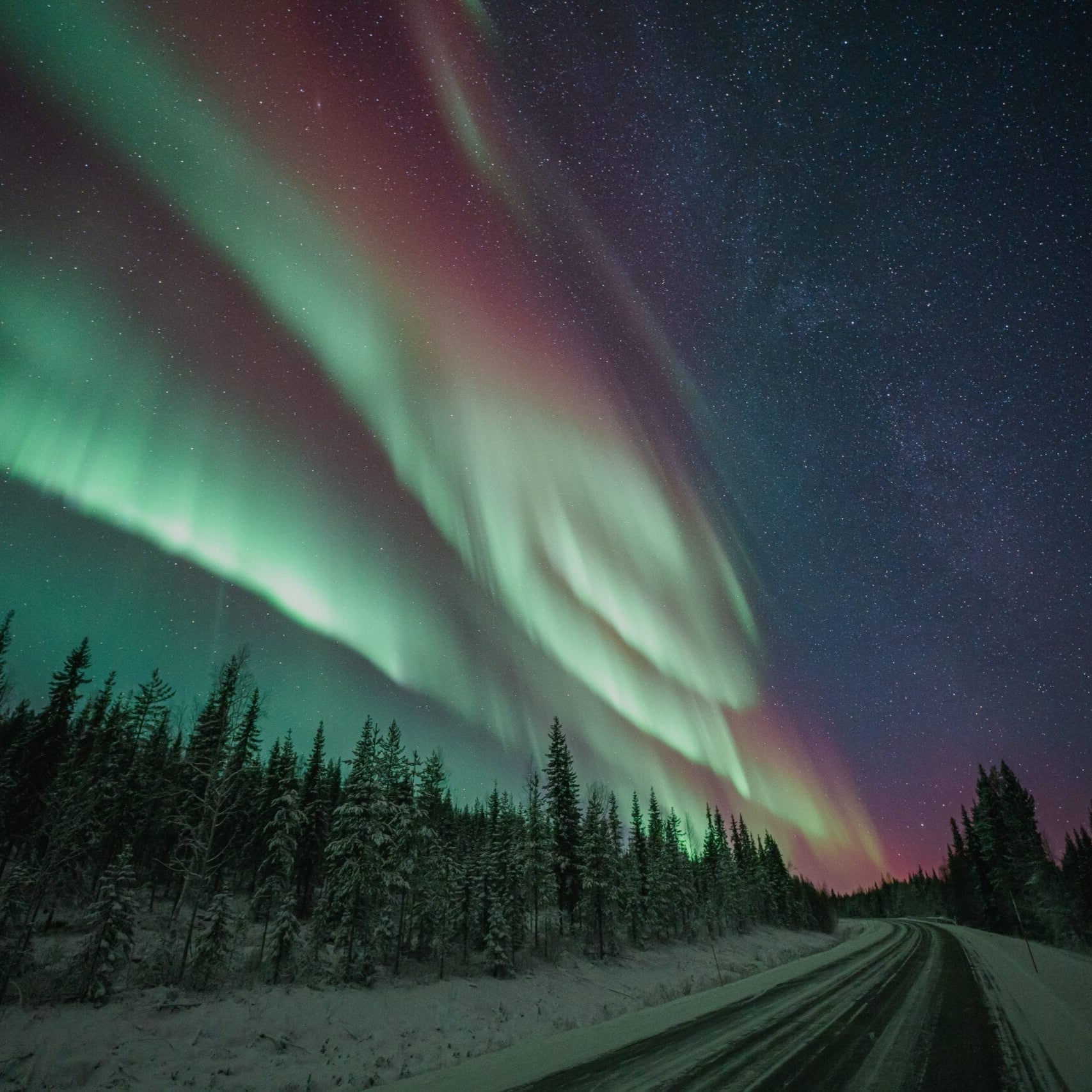 Aurora Hunting Pro Guaranteed Bus Tour under vibrant northern lights in Lapland forest at night by Book Lapland