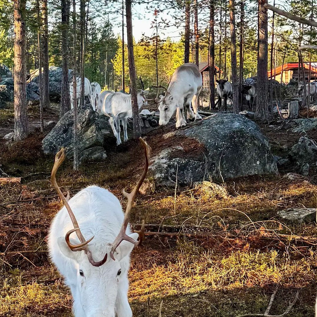 Faster fishing with a motorboat trip - Your City Guide
