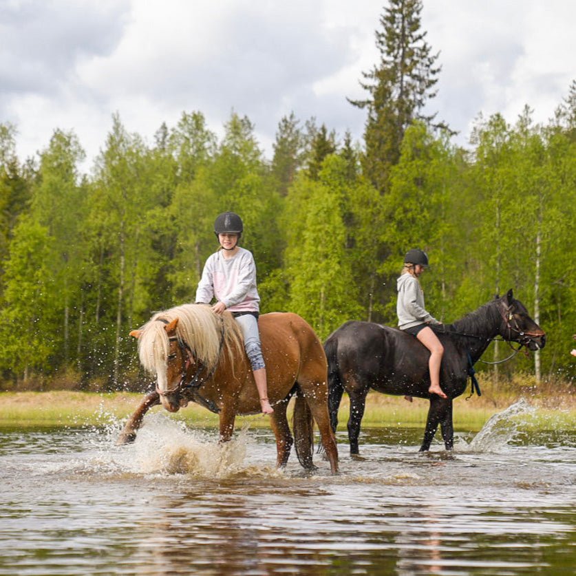 Horse riding whole day at wilderness area with children crossing water in forest setting Laenlampi ranch