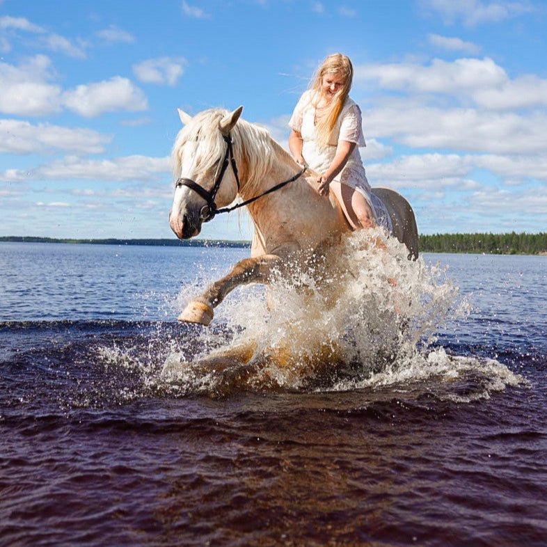 Young woman riding a horse splashing through water in Lapland for Horse riding whole day at wilderness area (Advanced only) Laenlampi ranch