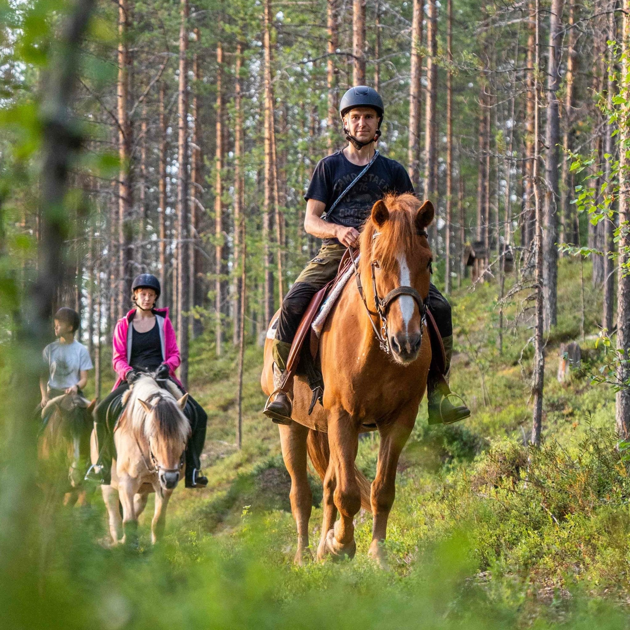 Horseback riders in forest trail enjoying Midnight sun riding to the hill experience by Laenlampi ranch