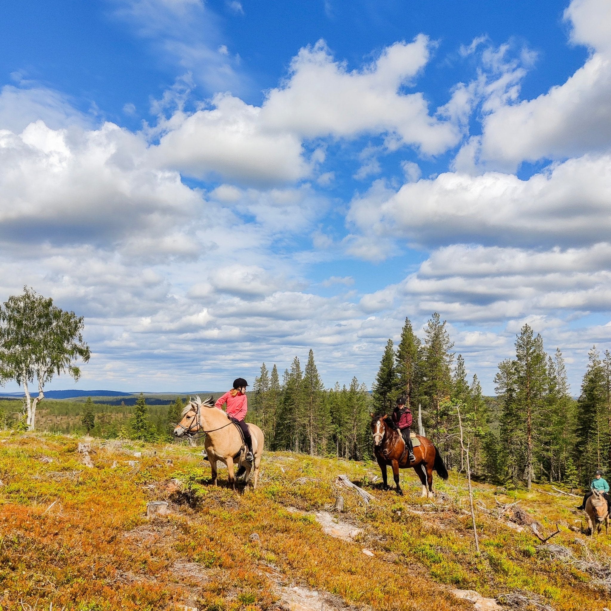 Midnight sun riding to the hill with horseback riders under a bright sky Laenlampi ranch