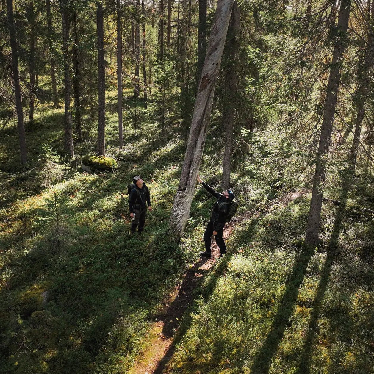 Two hikers exploring a lush Finnish forest trail during the Magical Forest Hiking Adventure by Pure Lapland