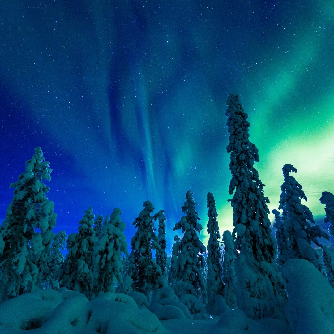 Nparts_City_Guide_Aurora_Borealis_on_the_sky_science_behind_aurora_forecast_rovaniemi