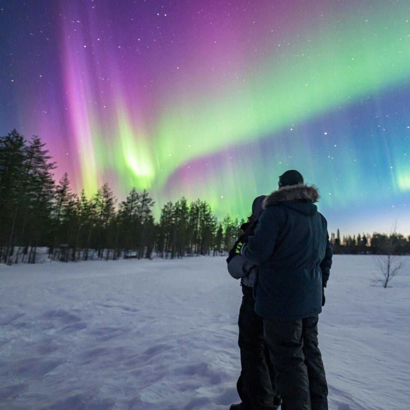 Couple admiring vibrant Northern Lights on photography tour in snowy Lapland forest by Beyond Arctic with Northern Lights