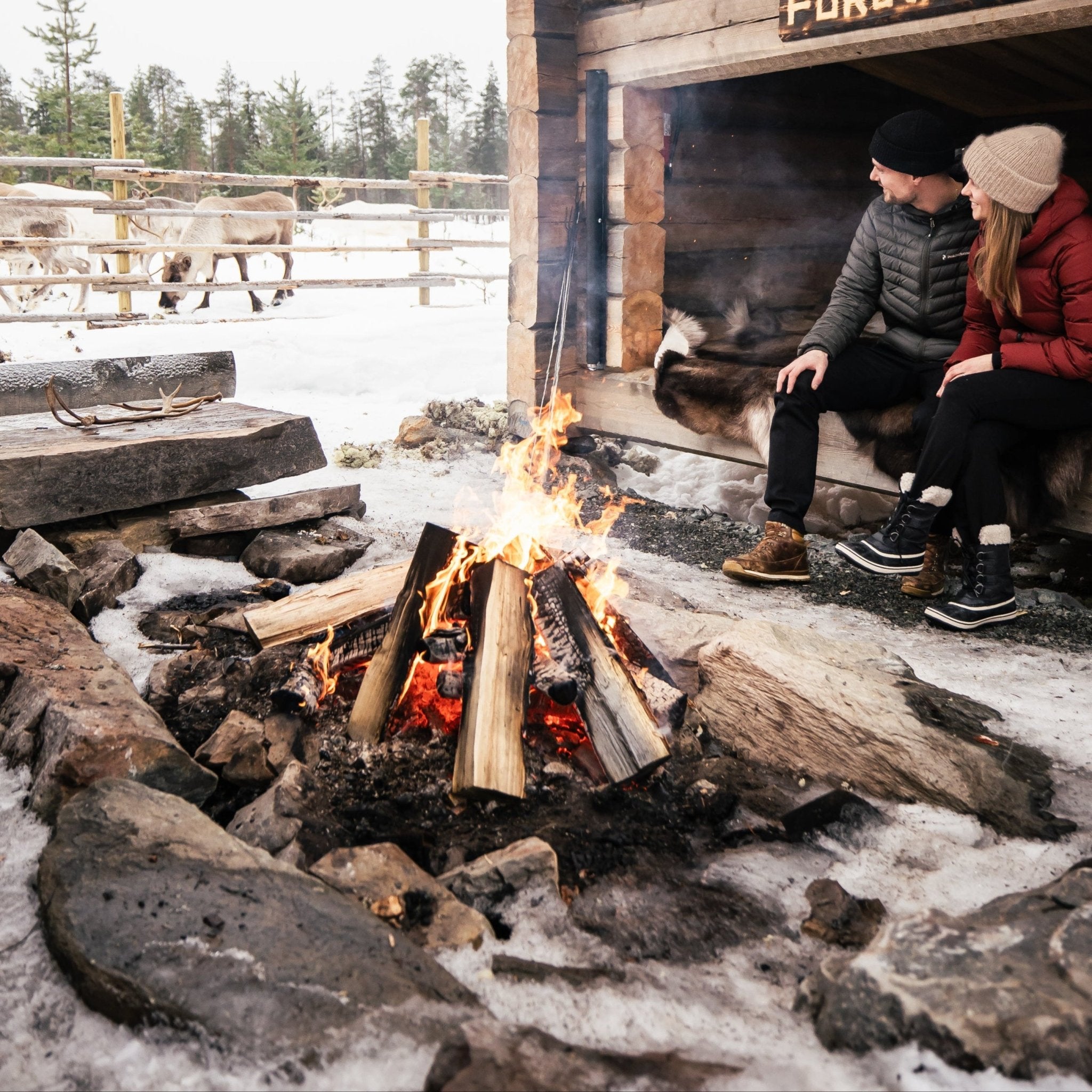 A couple sits by a campfire in a reindeer herder's lean-to with reindeer nearby in A night in the wilderness.