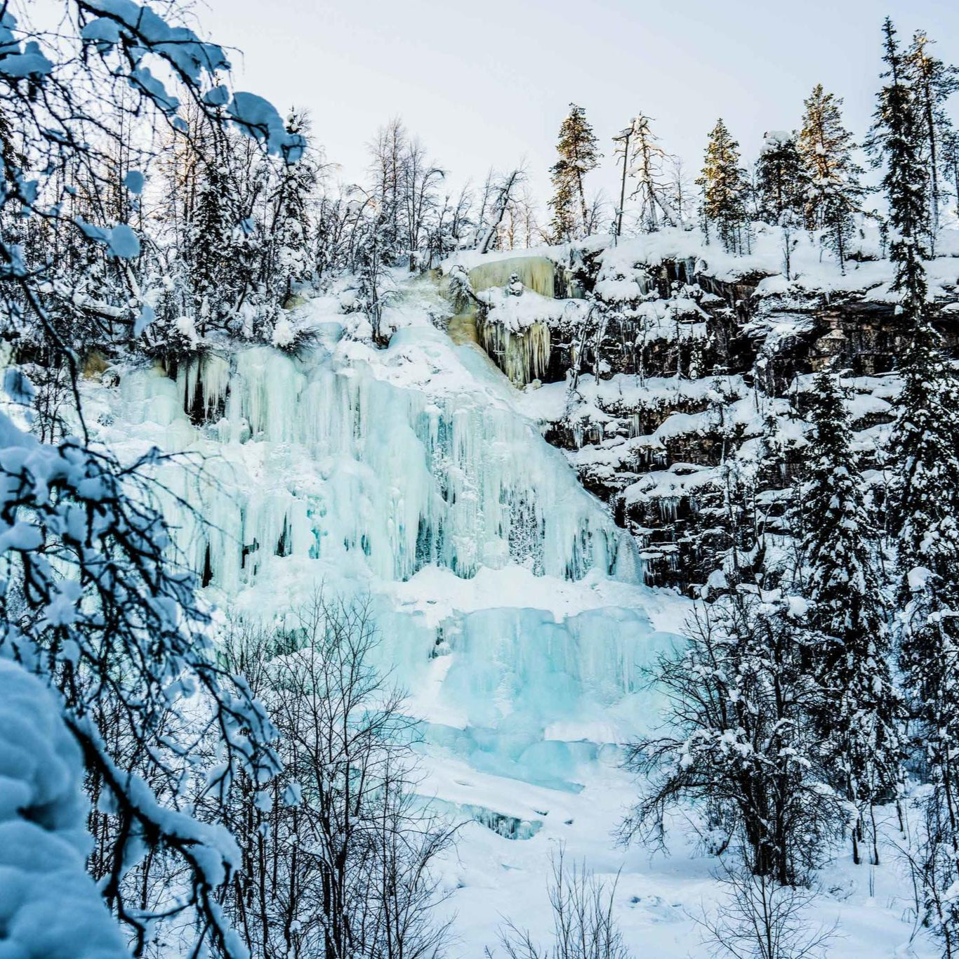 Top 5 experiences in Rovaniemi