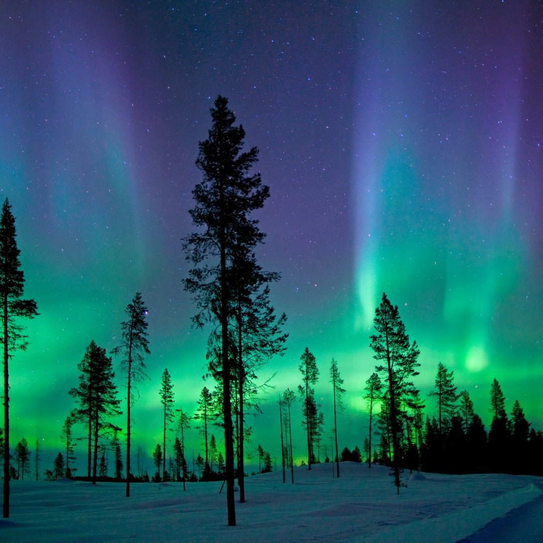 Top 5 places around the world to see the Northern Lights 2025