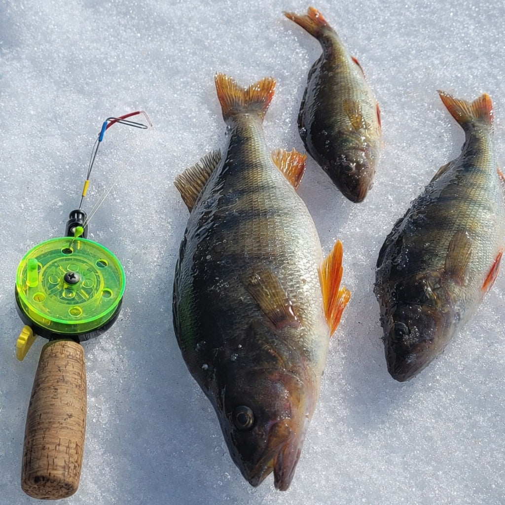 Evening Ice Fishing at Niesikivalo - Arctic Night Experience