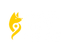 Your City Guide