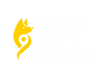 Your City Guide
