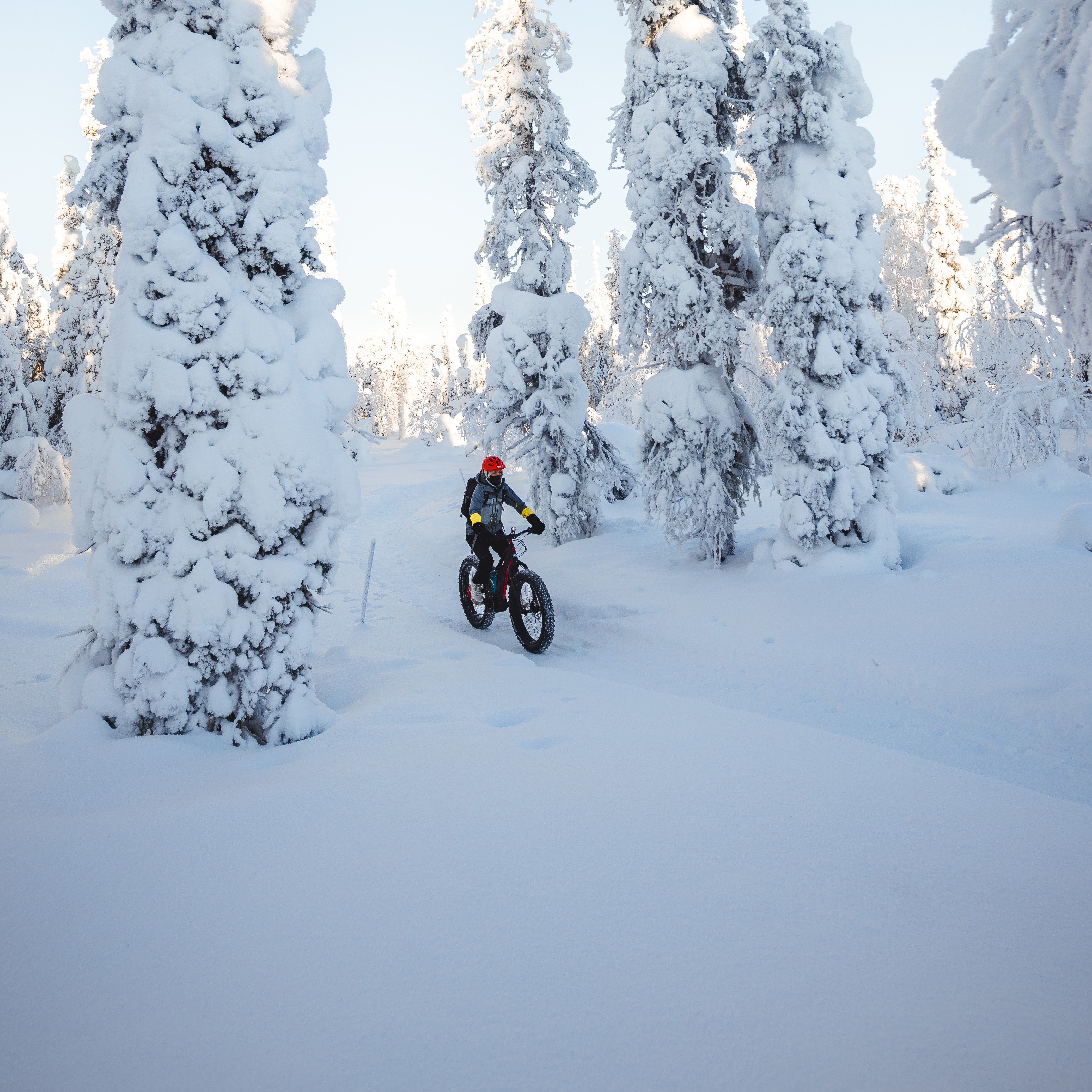Winter Electric Fatbike rental in Pyhä