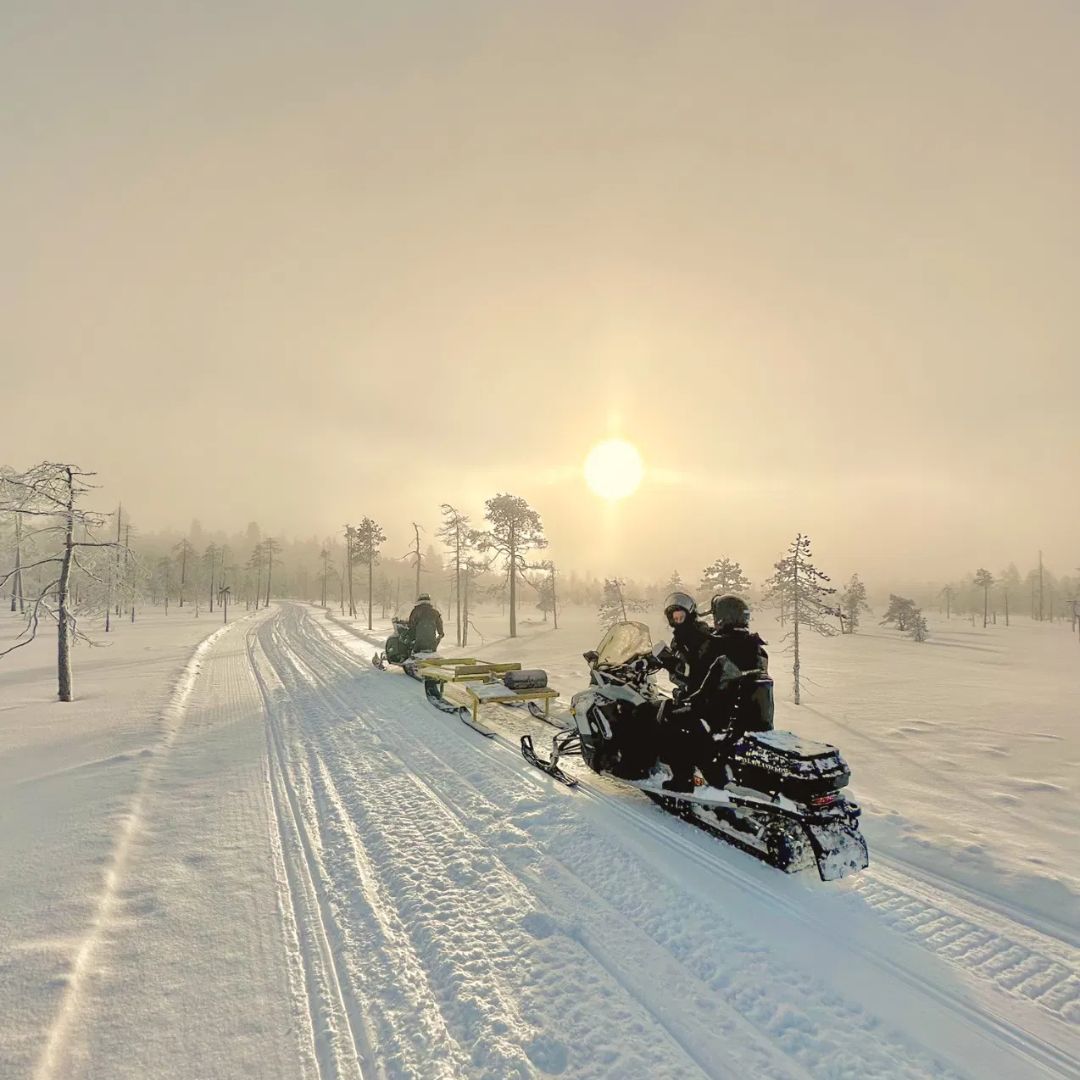 Wilderness Snowmobile Safari