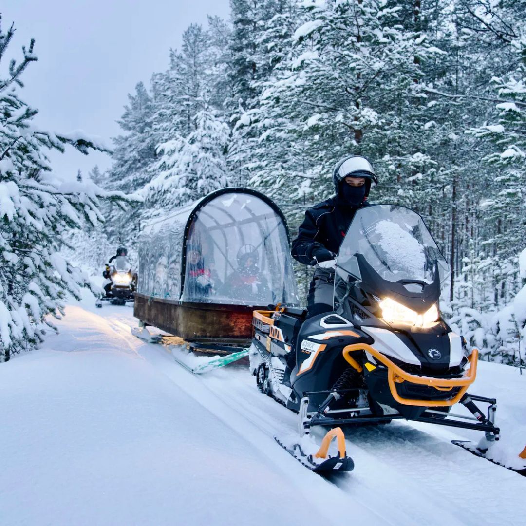 Wilderness Snowmobile Safari
