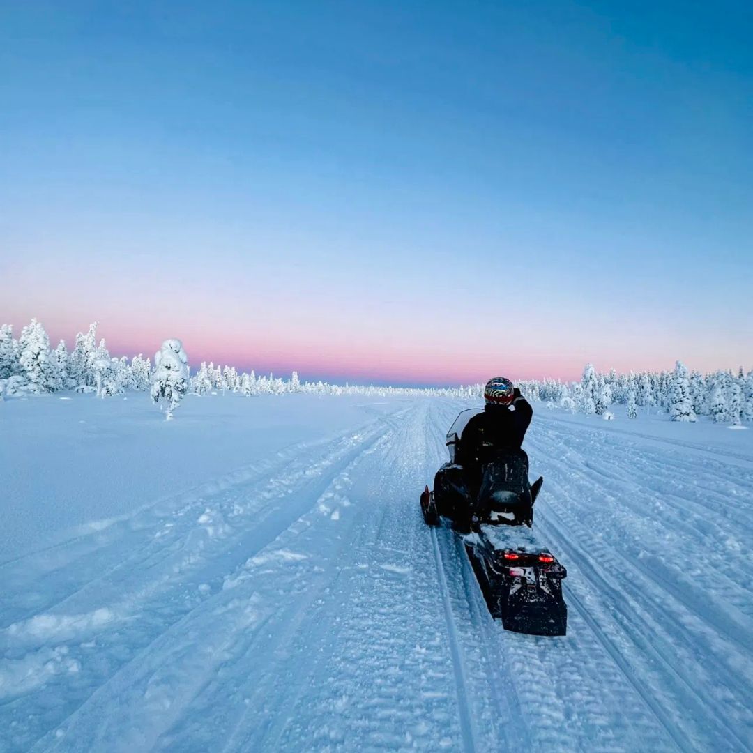 Wilderness Snowmobile Safari