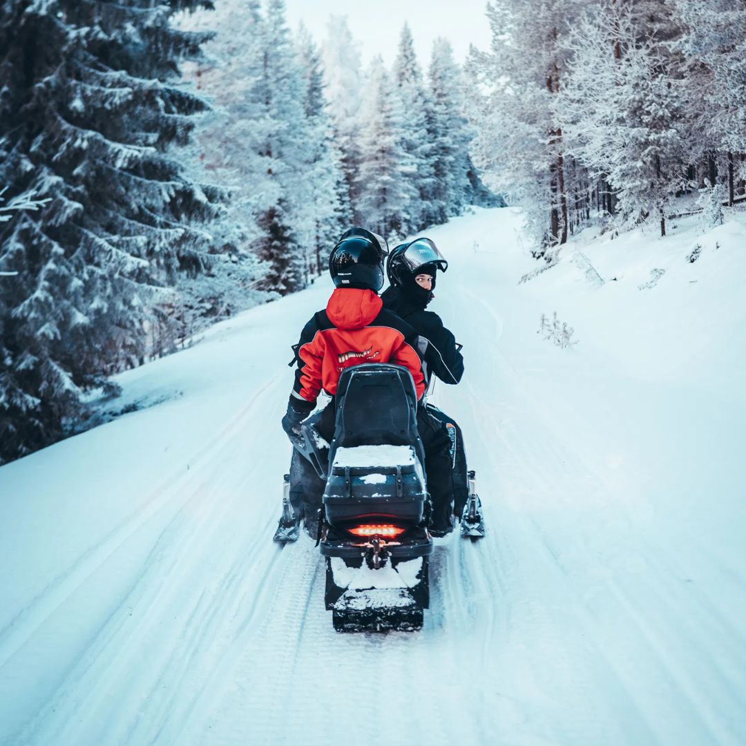 Wilderness Snowmobile Safari