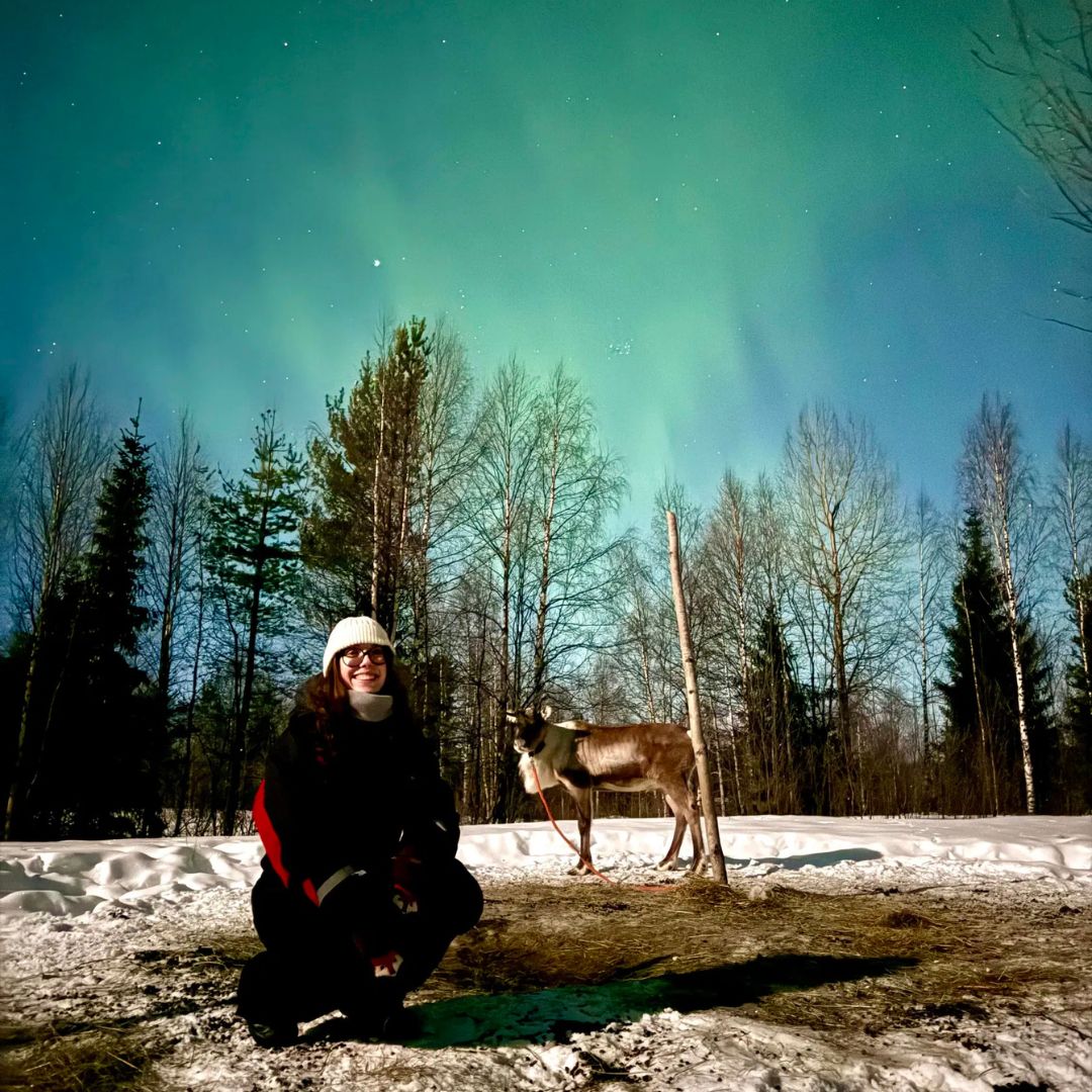 Northern Lights Reindeer Safari