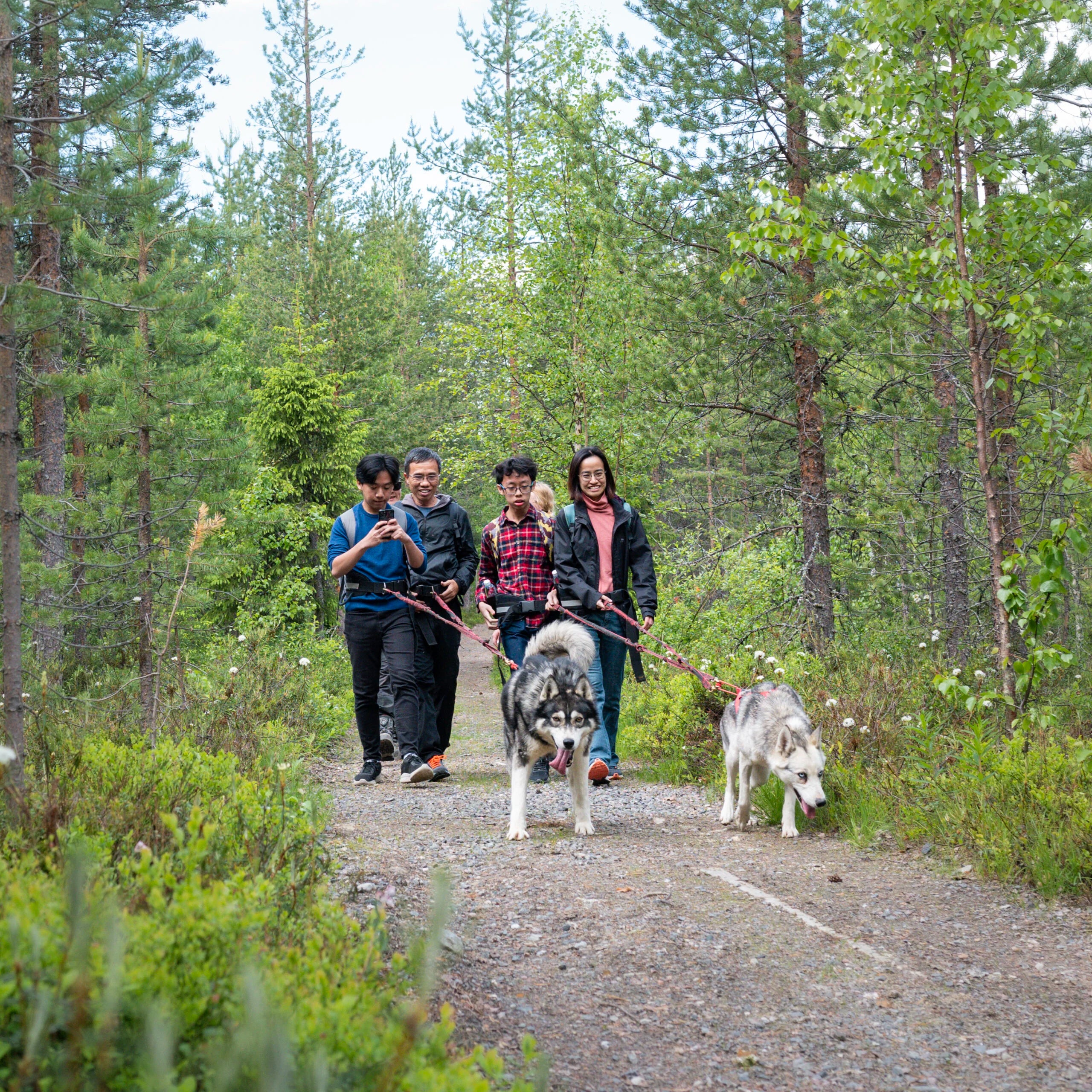 Hiking with Huskies