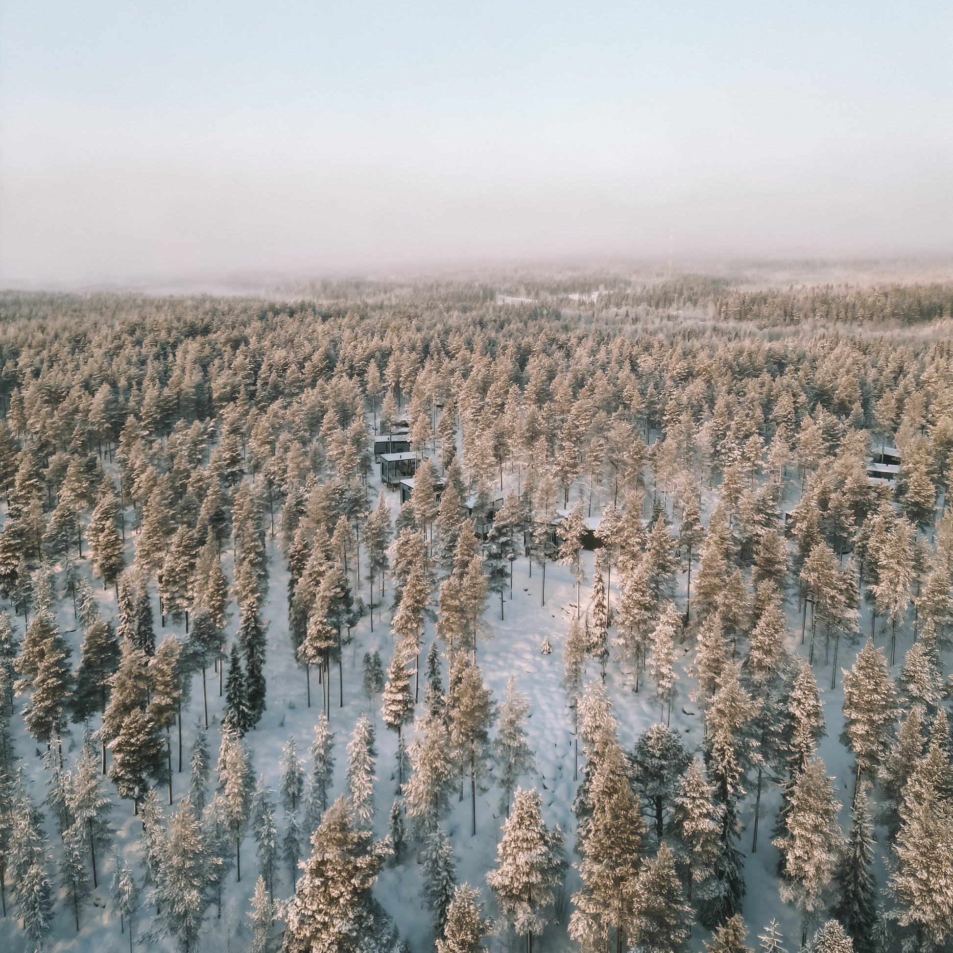 Aerial view of snowy Arctic forest with cozy cottages for Most unique sleeping experience in Lapland by Your City Guide
