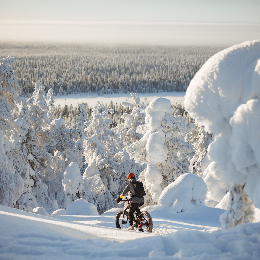 Winter Electric Fatbike rental in Pyhä