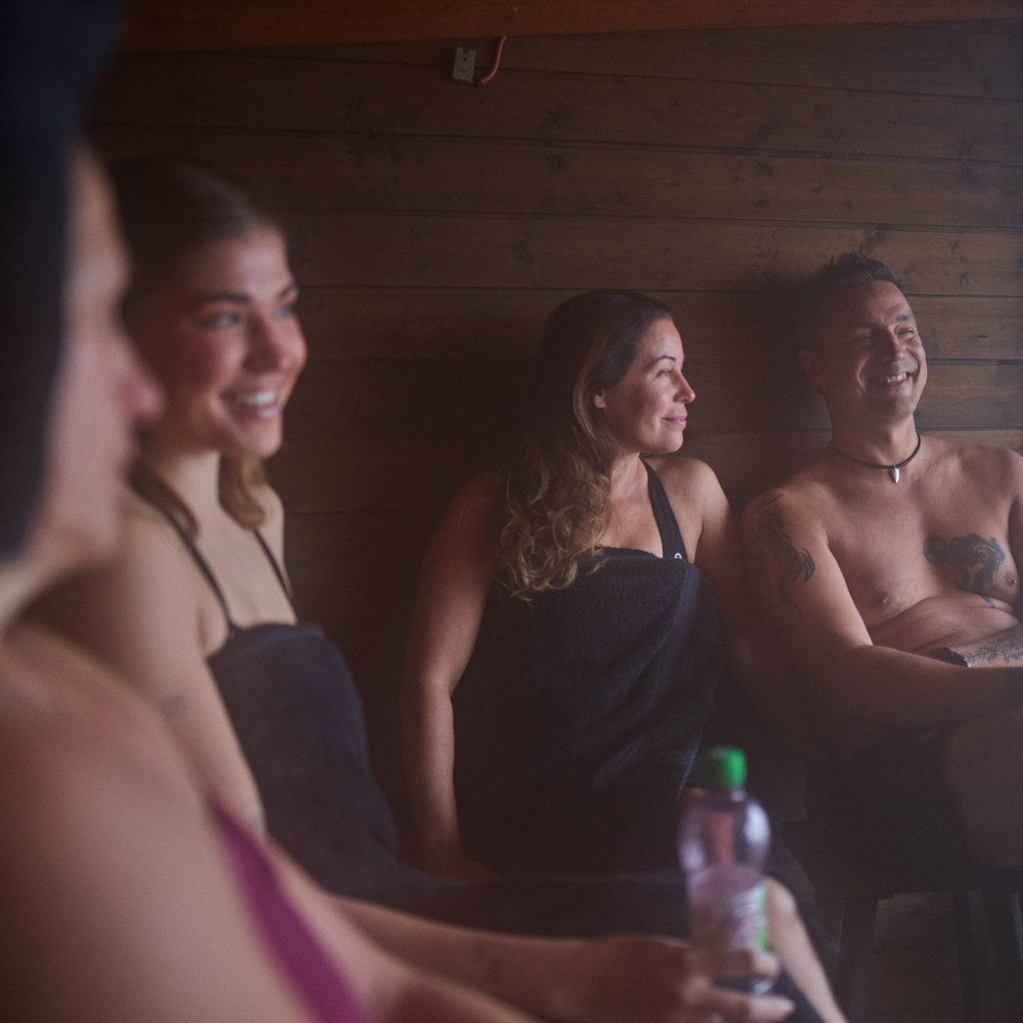 Private Wood-Heated Sauna and Ice Swimming