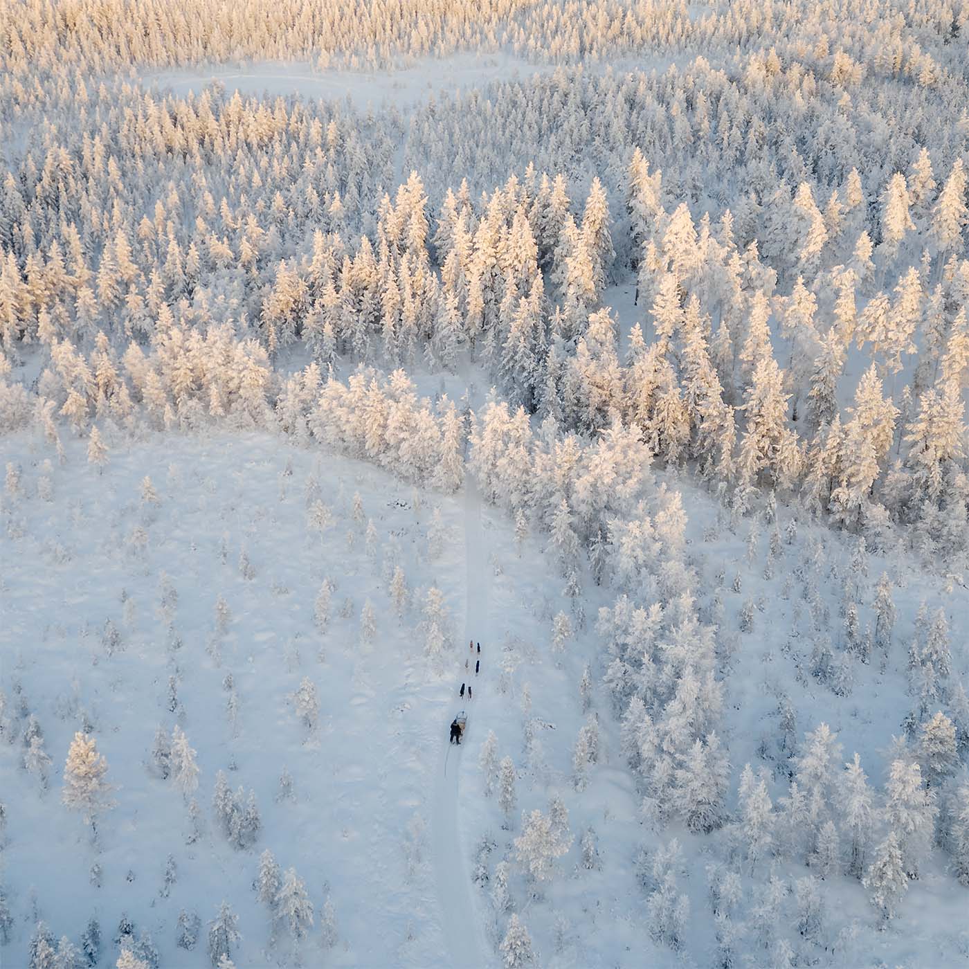Insider 10 km Husky Self‑Drive Adventure