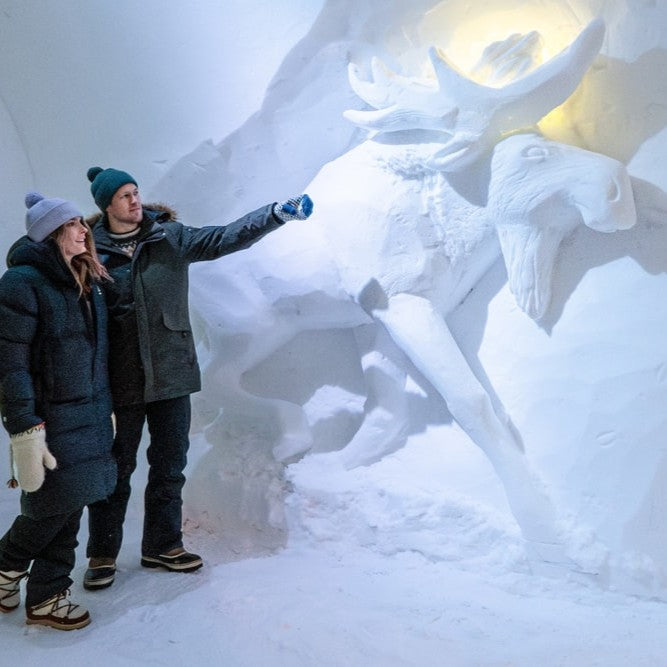 Entrance ticket to Arctic SnowHotel