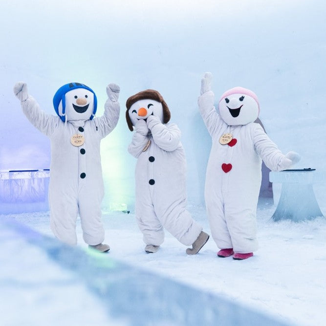 Entrance ticket to Snowman World