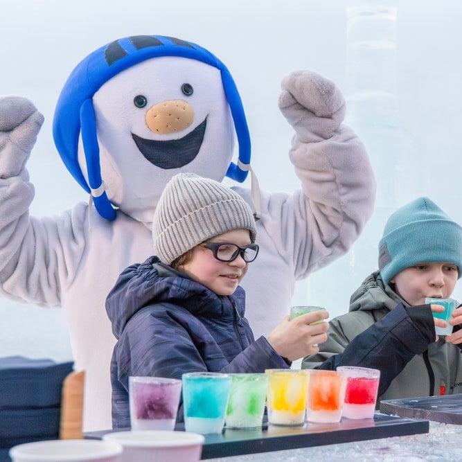 Entrance ticket to Snowman World