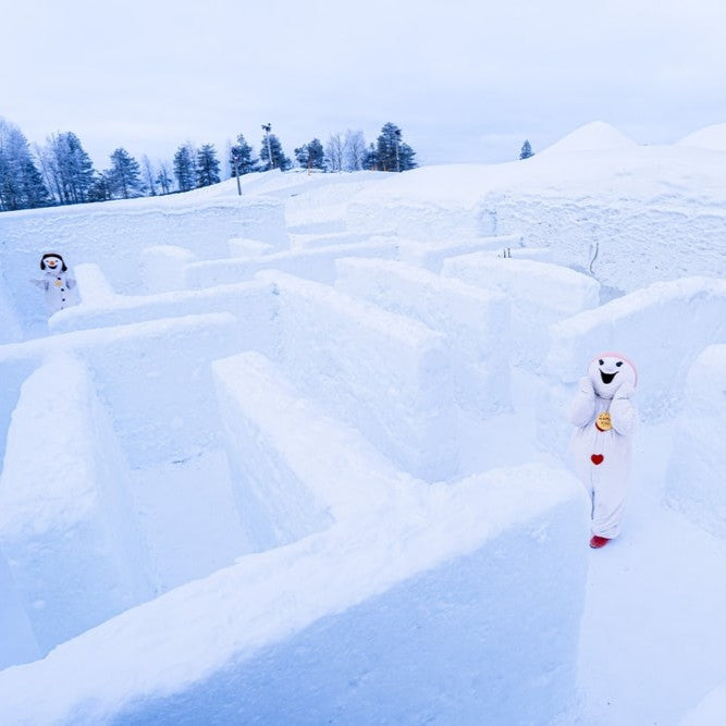 Entrance ticket to Snowman World