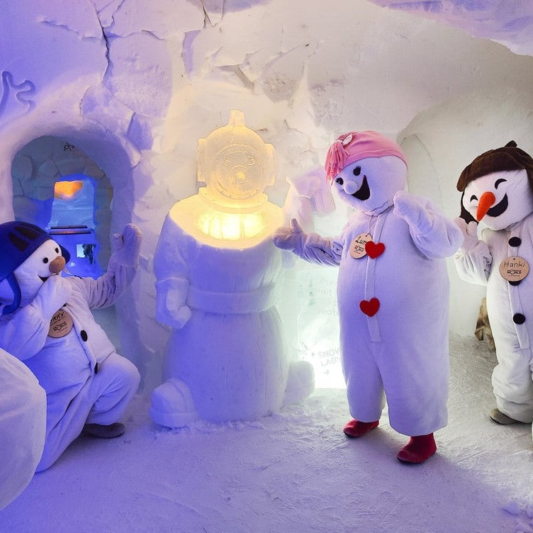 Entrance ticket to Snowman World