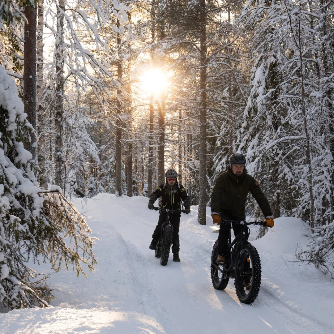 All Inclusive Lapland Nature Experience - All in one day