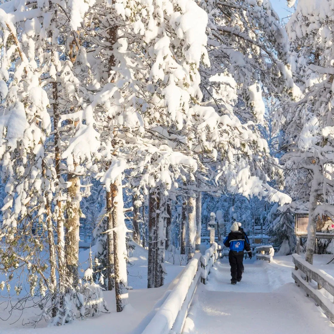 All Inclusive Lapland Nature Experience - All in one day