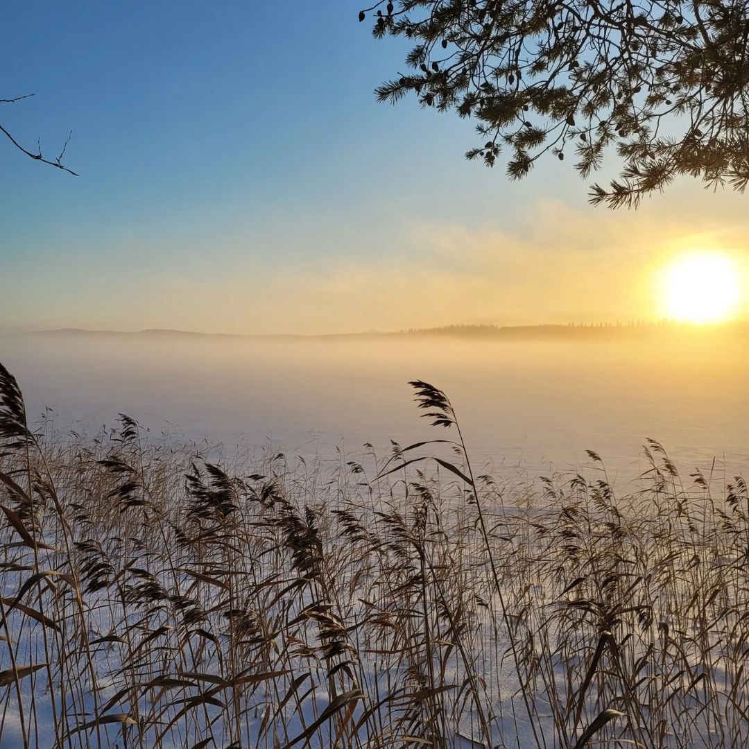 Niesijärvi Luxury Ice Fishing Adventure
