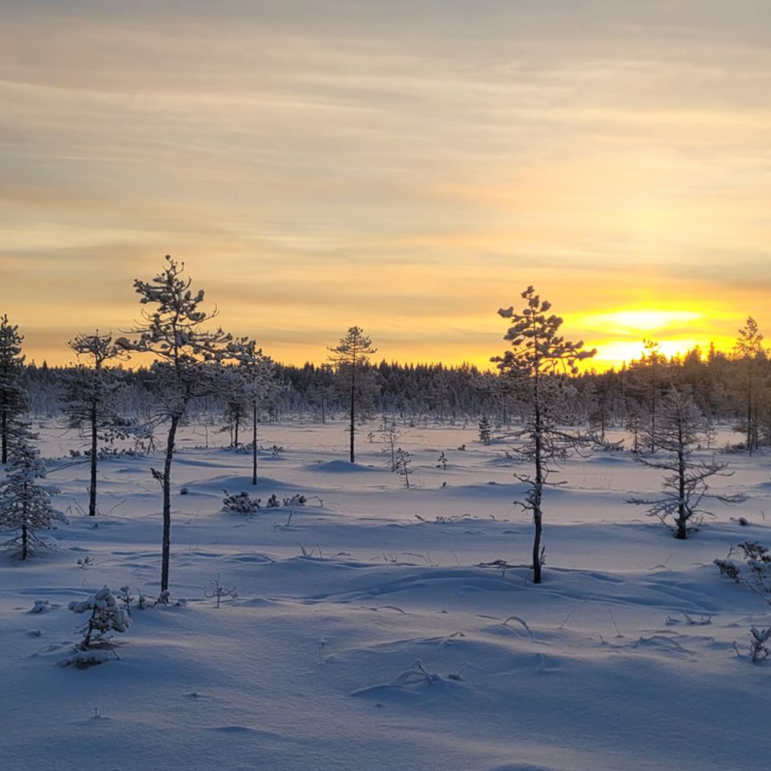 Niesijärvi Luxury Ice Fishing Adventure