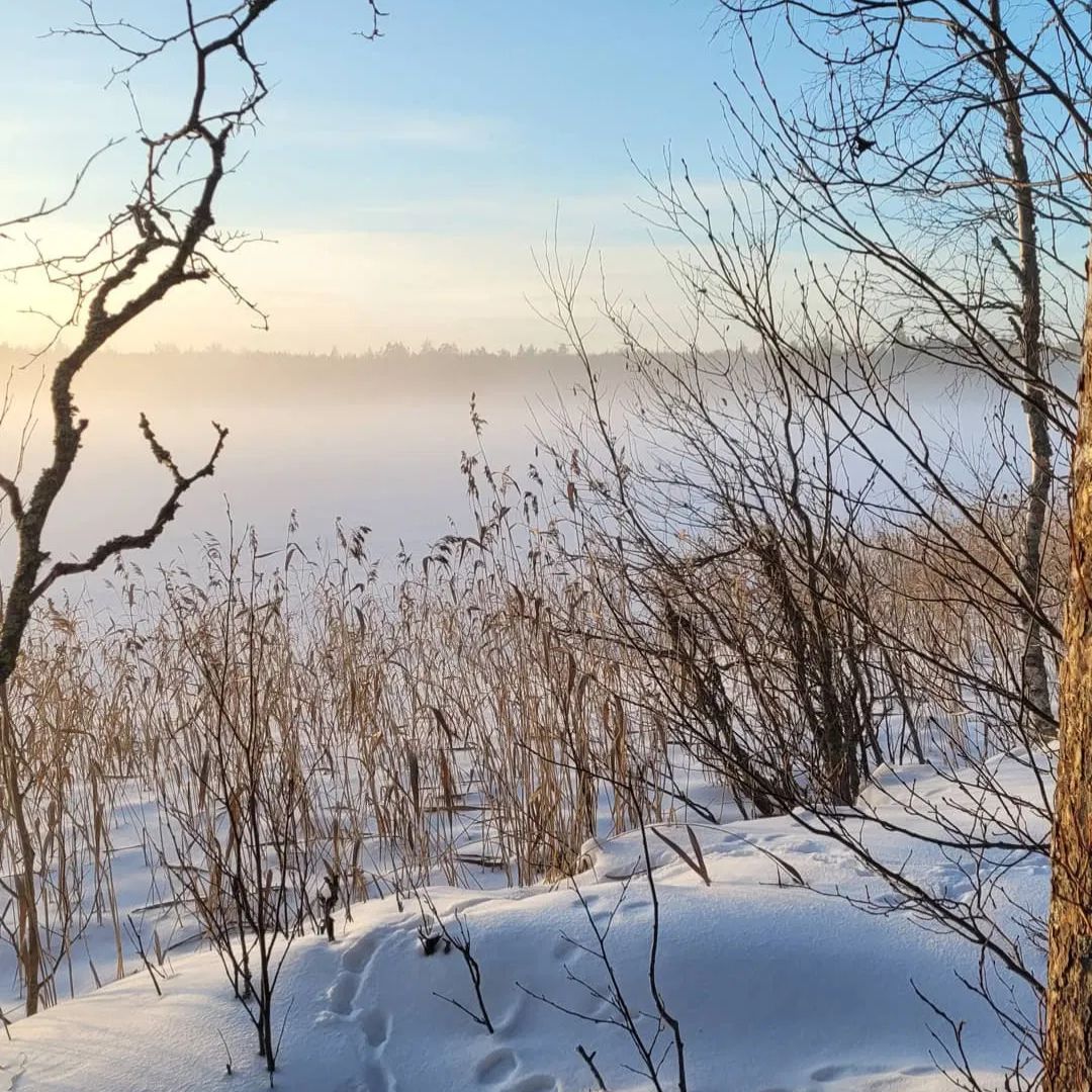 Niesijärvi Luxury Ice Fishing Adventure
