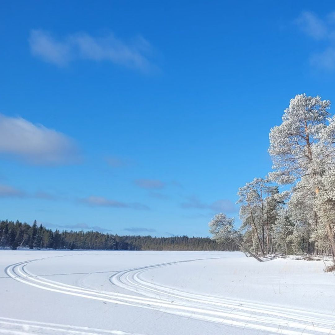 Niesijärvi Luxury Ice Fishing Adventure