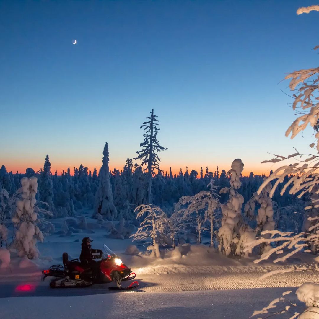 Evening Escape – Snowmobile safari and campfire