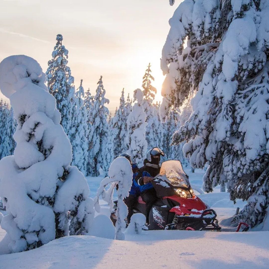 Snowmobiling Quick Spin - 2 h snowmobile experience