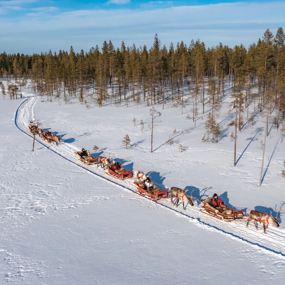 Snowy Forest Reindeer Ride