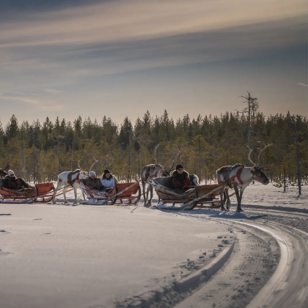 Snowy Forest Reindeer Ride