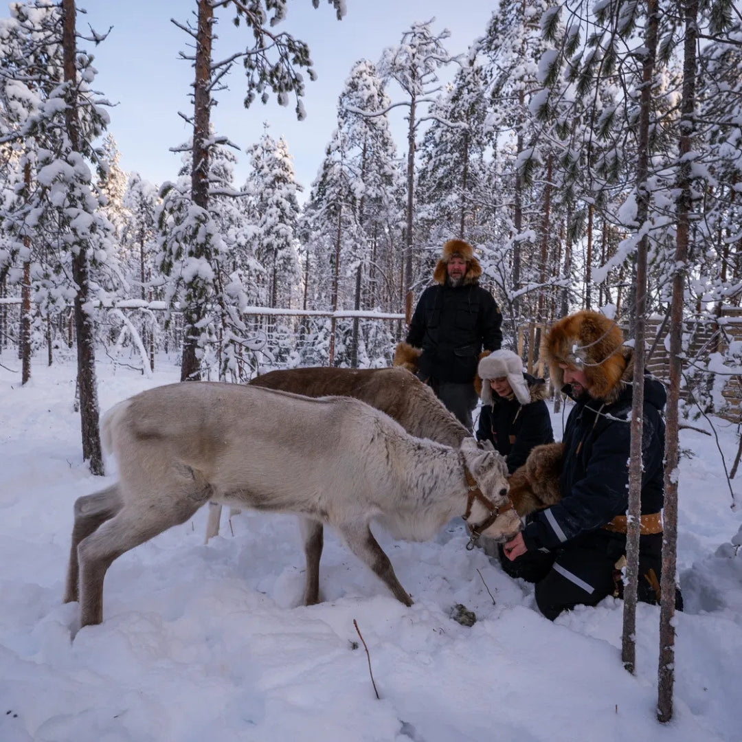 All Inclusive Lapland Nature Experience - All in one day