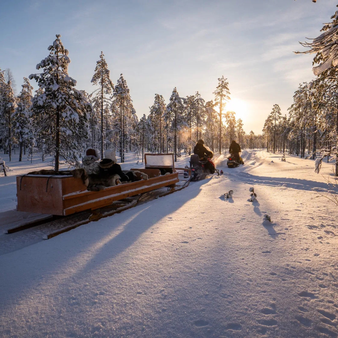 All Inclusive Lapland Nature Experience - All in one day