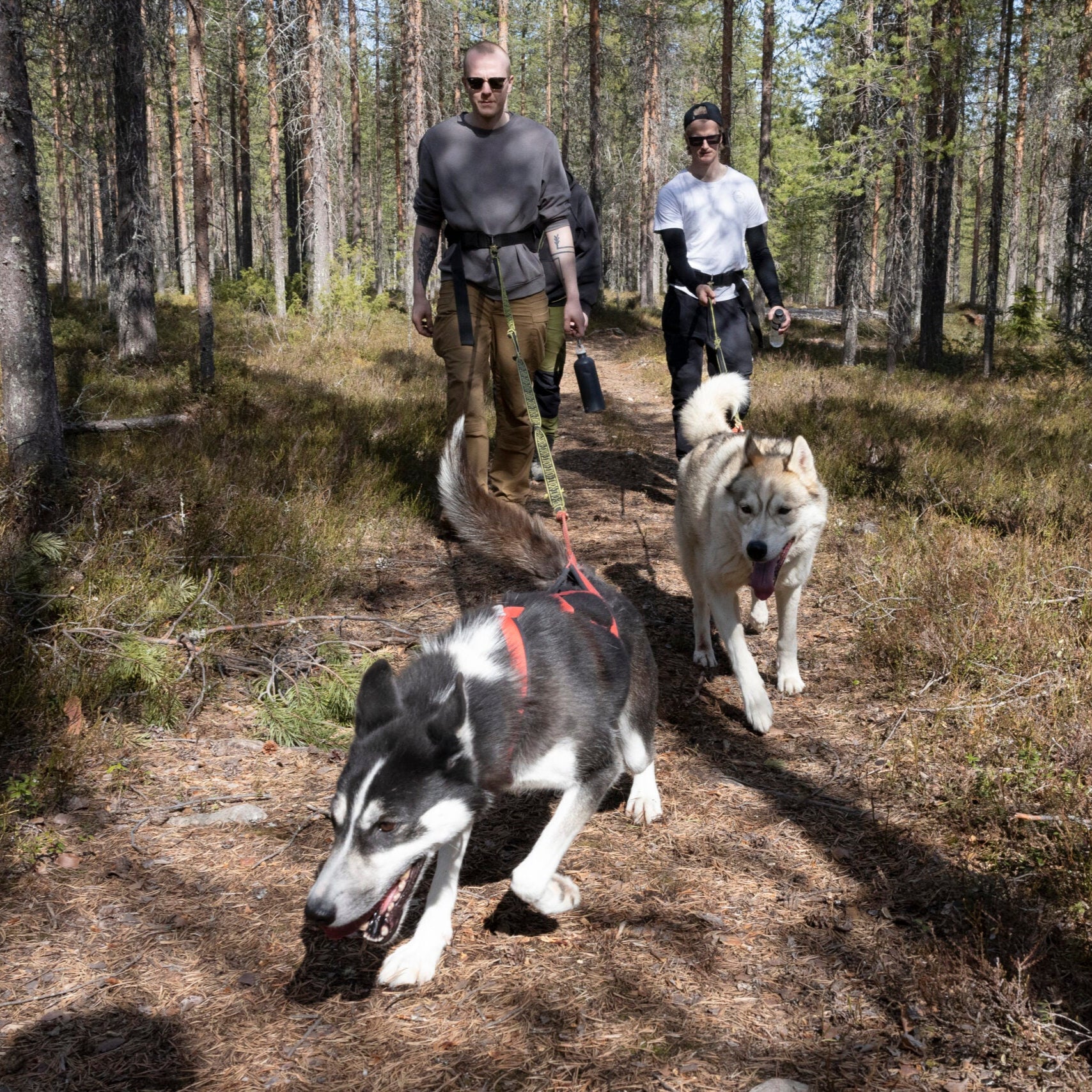 Hiking with Huskies