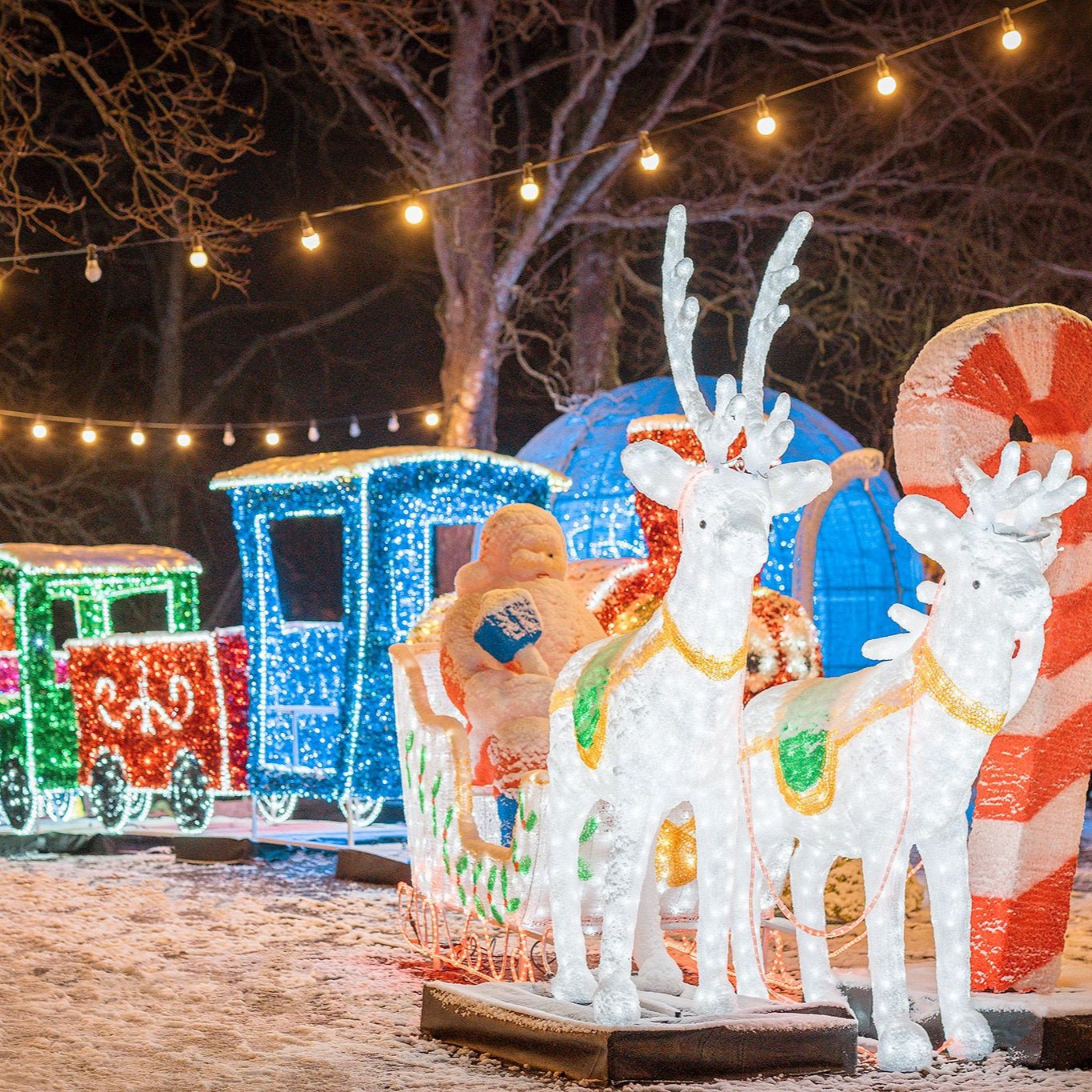 Decorative Christmas lights featuring reindeer, candy canes, and train carriages in a snowy outdoor setting.