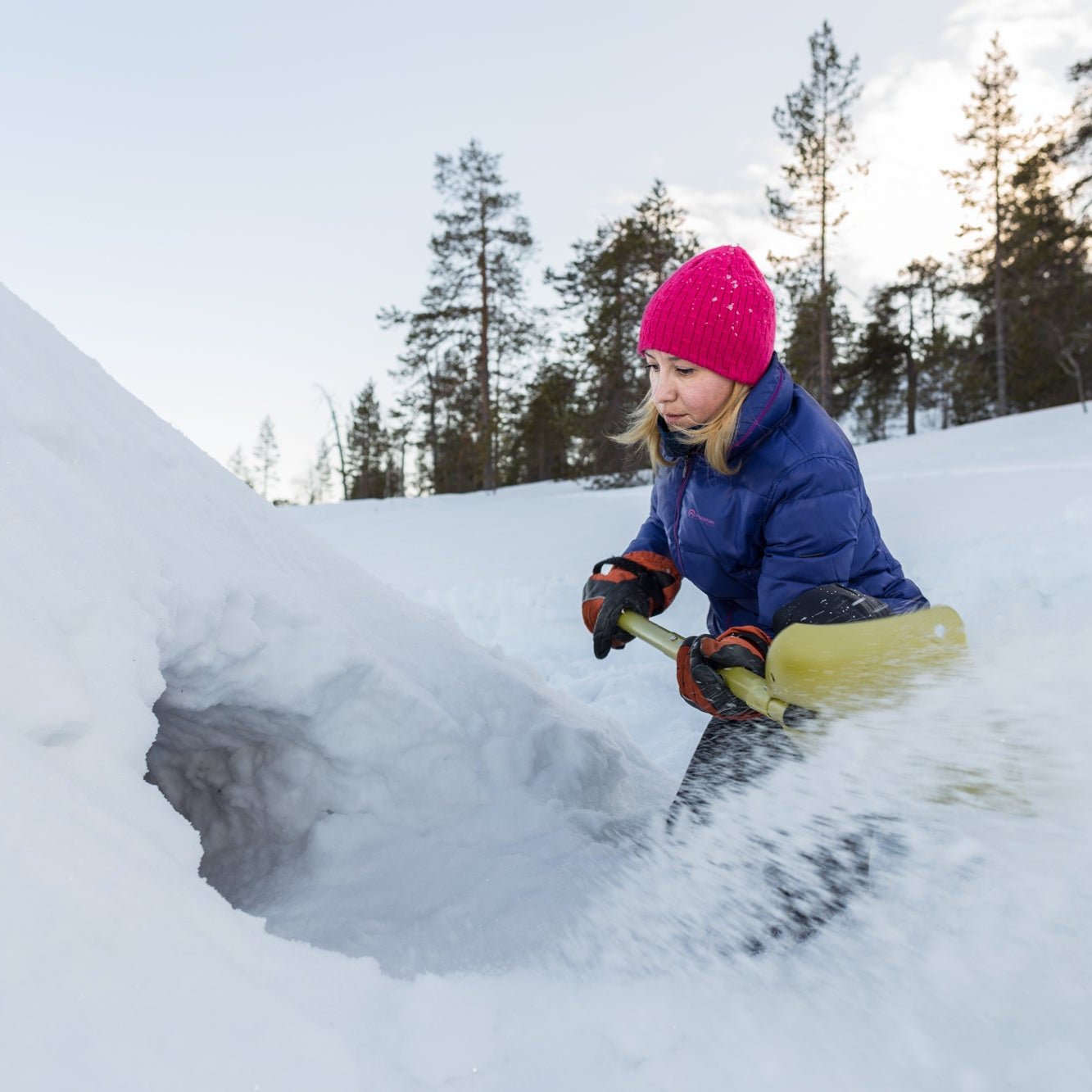 Arctic Night - A survival workshop - Your City Guide -